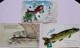 LOT 7 CARTES POSTALES ANCIENNES 1ER AVRIL - POISSONS - April Fool's Day