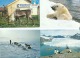 20 Cartes Modernes + 1 Petit Calendrier   -   Antarctica  - Antarctique - Alaska - Autres & Non Classés