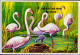 AQUATIC BIRDS-GREATER FLAMINGOS-IMPERF MS-RWANDA-MNH-MS-EXTREMELY SCARCE-D3-02 - Flamants