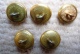 BOUTONS ( 5 ) 14 Mm  Uniforme D´Administrateur Des Colonies Années 1930 - Buttons