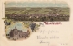 Weinfelden, Gruss Aus - Farbige Litho - Rathaus - Weinfelden