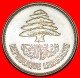 * FRANCE: LEBANON  25 PIASTERS 1952 CEDAR! LOW START  NO RESERVE! - Libanon