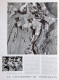 Delcampe - FRANCE ILLUSTRATION N° 100 / 30-08-1947 DOMINION WITEHAVEN FORCALQUIER BRIANÇON WOOMERA SAINT-RAPHAEL MOISSONNEUSE - Testi Generali