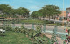 ÄLTERE POSTKARTE DAMMAM PUBLIC GARDENS DAMMAN Park Parc Saudi Arabia Saudi-Arabien Postcard Ansichtskarte AK Cpa - Saudi-Arabien