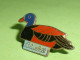 Pin's / Animaux : Canard Bluebill       TB1(10a) - Animals