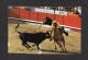 CORRIDA - TOROS - UNE PAIRE AU ÉTRIER - A PAIR TO THE STIRRUP - BY EDICIONES SAVIR - Corrida