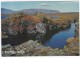 Autumn Landscape Of Thingvellir -  Iceland - Island - Þingvellir - IJsland