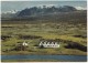 Thingvellir, The Site Of The Icelandic Parliament - Island - Þingvellir, Hvor Det Islandske Alting Blev Afholdt 930-1878 - IJsland