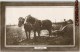 PLOUGHING HARNESS PLOWING PLOWING FARMING ATTELAGE LABOURAGE LABOUR AGRICULTURE METIER HERSE - Cultivation