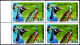 BIRDS-PHEASANTS-PEACOCKS-AFGHANISTAN-2000-BLOCK OF 4-ERROR-MNH-SCARCE-B9-653 - Pauwen