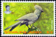 BIRDS-TOURACOS-LORIKEETS-SET OF 4-SWAZILAND-1995-SCARCE-MNH-B9-598 - Cuco, Cuclillos