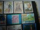 Delcampe - Album Comprenant Divers Timbres Anciens (Belgique,Australia,Andore,France,New-Zealand,Monaco Dont Olympiades) - Collections (en Albums)