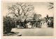 MADAGASCAR - MAJUNGA LE BAOBAB - 1938 - Madagascar