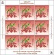 2016 NAGORNO MOUNTAINOUS KARABAKH ARMENIA BERGKARABAKH FLORA FAUNA 4 SHEETS OF 9 MNH - Autres & Non Classés