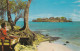 SAINT LUCIA , 50-60s : Rat Island - Saint Lucia