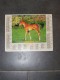 1999 CALENDRIER ( Double ) ALMANACH DU FACTEUR, LA POSTE, CHEVAL JEUNE TROTTEUR FRANCAIS, CHEVREUIL - ARDENNES 08 - Grand Format : 1991-00