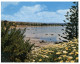 (355) Australia - SA - Victor Harbor Rosetta Bay - Victor Harbor