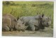 KENYA COVER Stamps 2/50 FLOWERS To Switzerland (postcard RHINO) Flower - Kenya (1963-...)