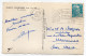 PLAINFAING --1952--DANS SON NID DE VERDURE,cpsm 14 X 9  N°88.349.02 éd La Cigogne-cachet MULHOUSE-68 - Plainfaing