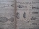 Delcampe - Catalogue De Pêche WYERS Paris 1900 Pour La Pêche En Eau Douce Et En Mer - Nature