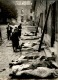 Atrocités Allemandes Découvertes Après La Libération De Paris - Tirage Photo Originale  - 24 (L )X1 8 (H) - Lot 15730 - Guerre, Militaire