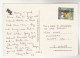 1994 MALTA COVER ( Postcard) Stamsp PIG CHICKEN COW Bird To GB - Boerderij