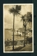 ENGLAND  -  Newquay  Palm Trees  Used Vintage Postcard As Scans - Newquay