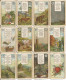 Delcampe - JUDAIKA - 36 Tarot Karten?, Schneider-Co.AG, Altenburg SA, Gute Zustand,10 Scan - Tarots