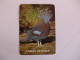 Birds Pigeon Pombo De Leque Portugal Portuguese Pocket Calendar 1986 - Klein Formaat: 1981-90