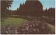 Swan Lake Gardens, Sumter, SC, Unused Postcard [17614] - Sumter