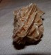 BELLE PIERRE ROSES DES SABLES 7.5 X 5 X 5 Cm Environ 107 Grammes - Mineralien