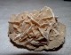 BELLE PIERRE ROSES DES SABLES 7.5 X 5 X 5 Cm Environ 107 Grammes - Mineralien