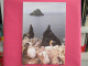 Irlande - Kerry - Gannets And The Skelling Rocks - Très Bon état - Joli Timbre - Scans Recto-verso - Kerry