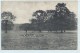 Single Circle - Normanton On PC Of Monk Fryston Park - Postmark Collection