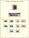 Delcampe - RUSSIA - 1995 COMPLETE COLLECTION OF STAMPS, BLOCKS & SHEETS ON 19 SCHAUBEK ALBUMSHEETS - MNH ** - Collections