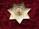 Placca Distintivo Badge U.S. Police New York Security Officer Mai Usato - Police & Gendarmerie