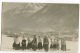 14 Jeunes Femmes Partant Pour La Neige Genève Vraie Photo As De Trèfles 1911 Luges / Sledges - Genève