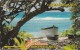 Cayman Islands, CAY-6B, Boat And Tree, 2 Scans.  6CCIB - Kaimaninseln (Cayman I.)