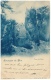 CPA Schweiz/Suisse: Souvenir De Bex - Tour De Duin, 1900, 2 Scans - Bex