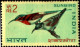 BIRDS-ERROR-BIRDS OF INDIA-FIRST SERIES-SET OF 4-INDIA-1968-MNH-TP-01 - Specht- & Bartvögel