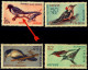 BIRDS-ERROR-BIRDS OF INDIA-FIRST SERIES-SET OF 4-INDIA-1968-MNH-TP-01 - Pics & Grimpeurs