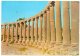 JORDAN - PILLARS OF JERASH - Giordania