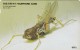 Korea, MO9806121, Grasshopper, Insect, 2 Scans. - Corea Del Sud