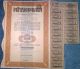 NITROGEN CHEMICAL GOODS AND PESTS COMPANY, SHARES, STOCK, REVENUE COUPONS, 1942, ROMANIA - Industry