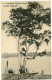 CONGO BELGE CARTE POSTALE ENTIER NEUF N°71 LA LUKULA ARBRE A COPAL - Stamped Stationery