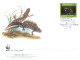 Delcampe - (2222) WWF Set Of FDC Cover  - Estonia - Salamander - FDC