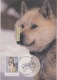 AAT-australian  13 -1-1994  KINGSTON Husky Australian - Cartoline Maximum