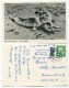 Germany - Nordseebad Langeoog - Junge Seehunde - Used 1955 - Nice Stamp - Langeoog