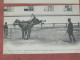 Delcampe - SAUMUR 1900  LOT 8 CPA N°9 A 16 / HARAS DRESSAGE EQUESTRE / SAUTEUR / CROUPADE / EQUITATION  EDITEUR  C CHARIER A SAUMUR - Saumur