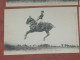 SAUMUR 1900  HARAS LOT 8 CPA N°  126 A  143 /  / ECUYER / COURSE / EQUITATION / DRESSAGE  EDIT FR.VOELCKER - Saumur